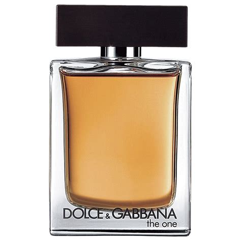 dolce gabbana omosessuale|the one for men dolce gabbana.